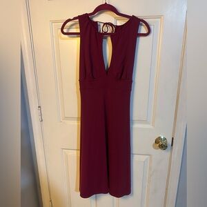 Sleeveless V-Neck Wine Women’s Dress